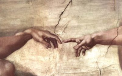 Id and the Run on Toilet Paper